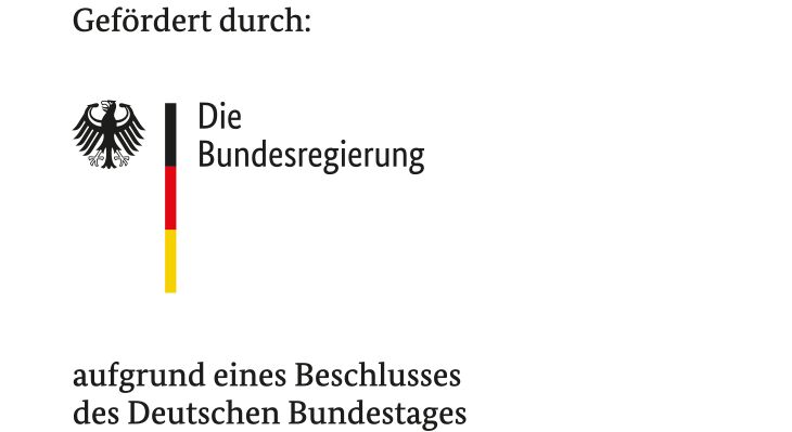 Bundesregierung